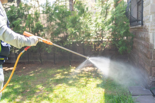 Seasonal Pest Control (e.g., summer mosquitoes, winter rodents) in South Bound Brook, NJ